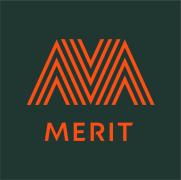 Merit Software